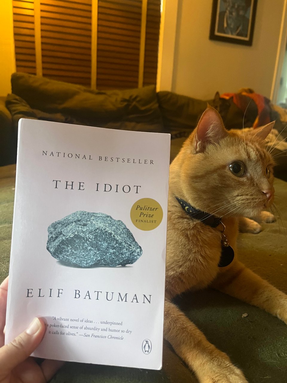Review: The Idiot by Elif Batuman
