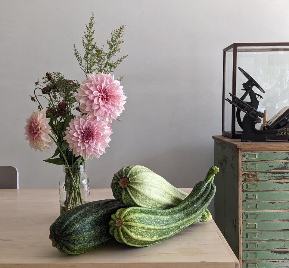 dahlias, squash, printing press
