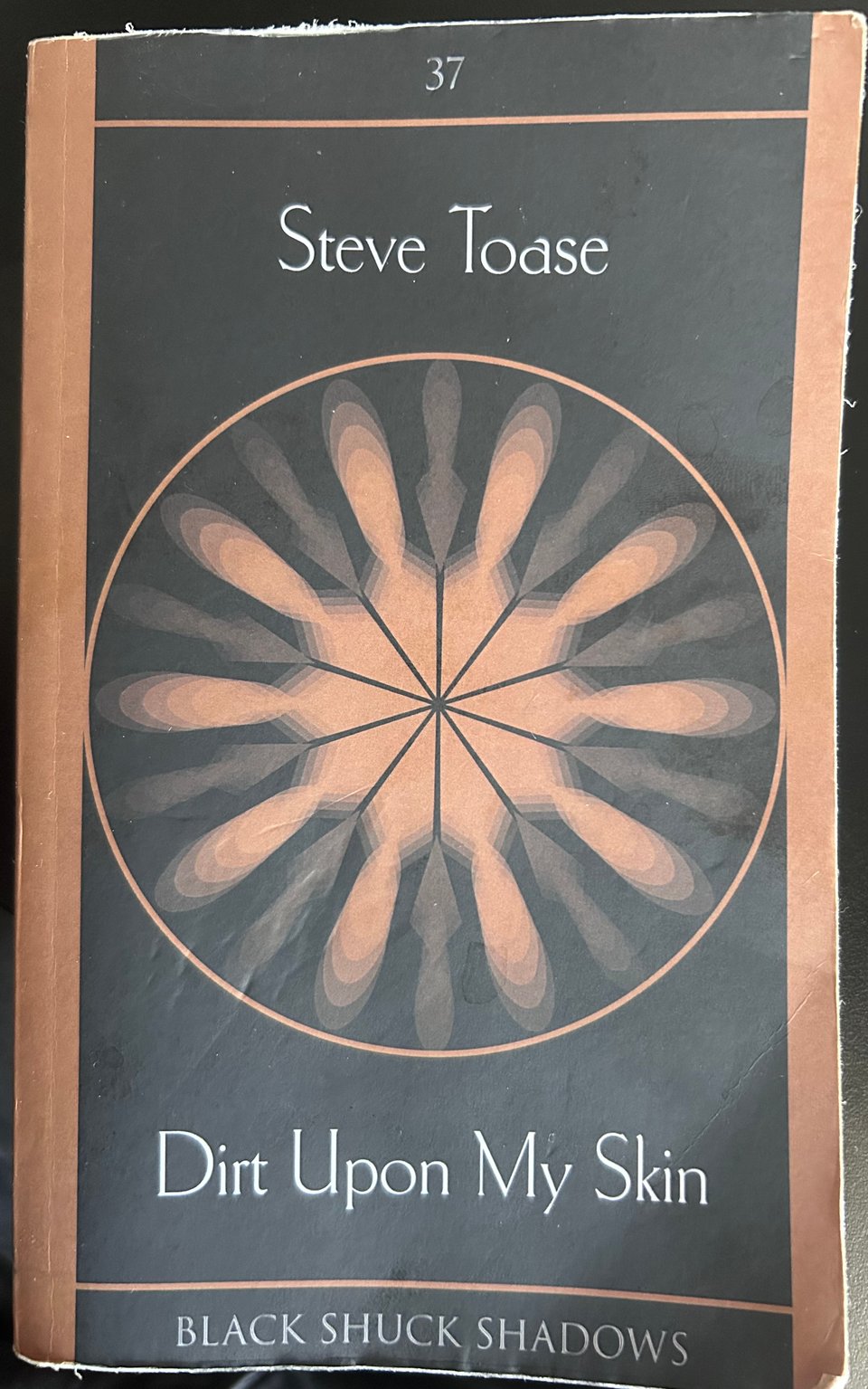 The cover of Dirt Under My Skin by Steve Toase