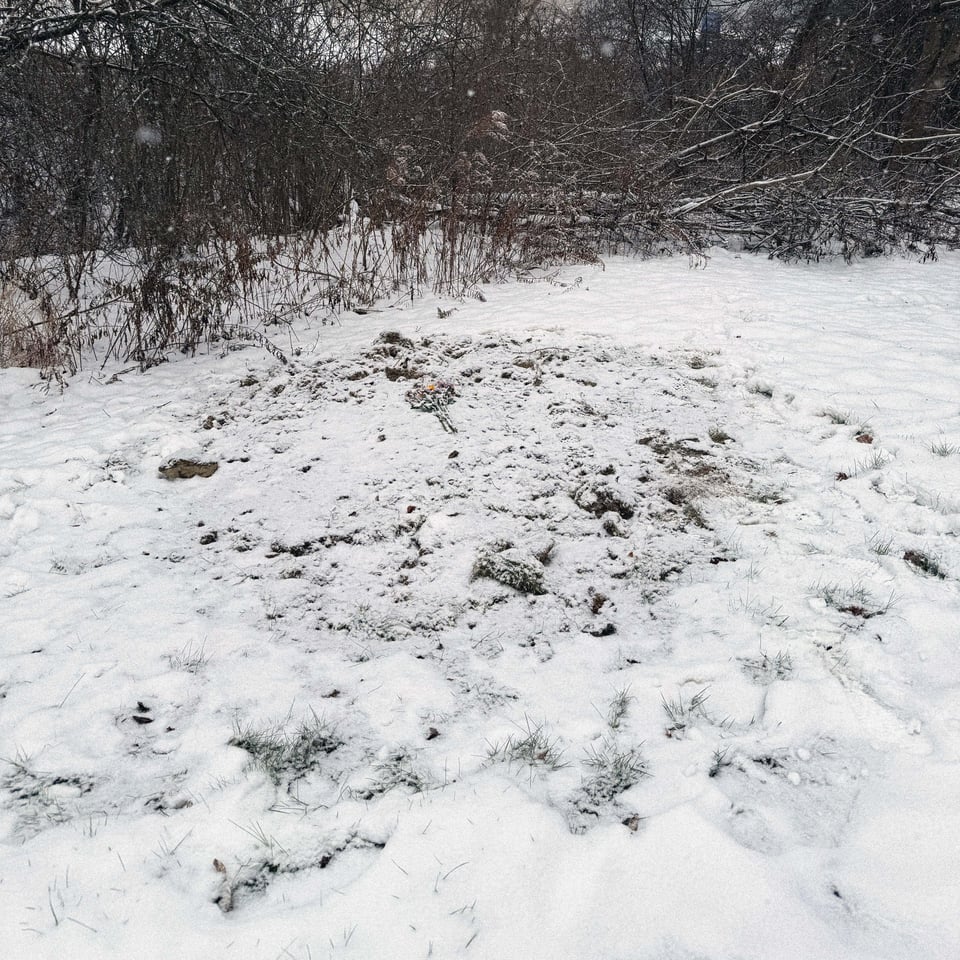 a fresh layer of snow and a bouquet laid atop a grave dug for a deer