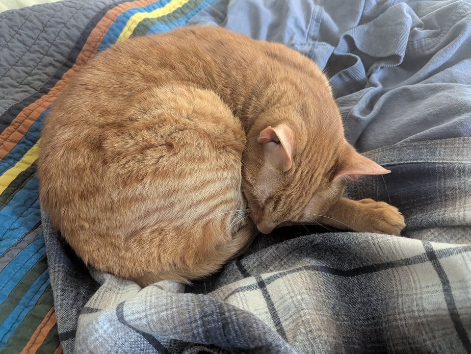 A striped orange cat lying on a pile of plaid and corduroy shirts on top of a striped blanket