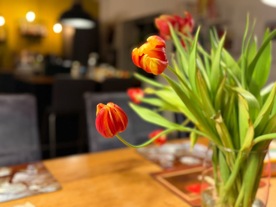 Orange and yellow tulips in a vase have started to bend and curve over time.