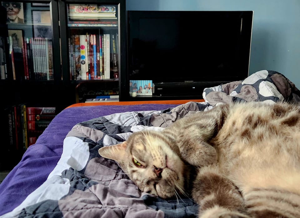 Luca sleeping