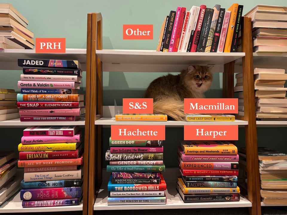 The same books again, now arranged by publisher, and with a cat sitting on one of the shelves.
