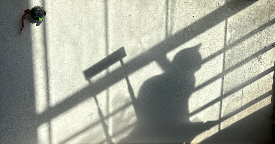 Pepito's shadow on the wall of my balcony.