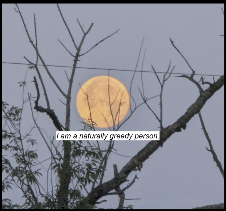 A full moon viewed through some trees. Text reads: "I am a naturally greedy person."