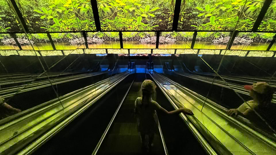 My kid rides an escalator down at the National Aquarium in Baltimore.