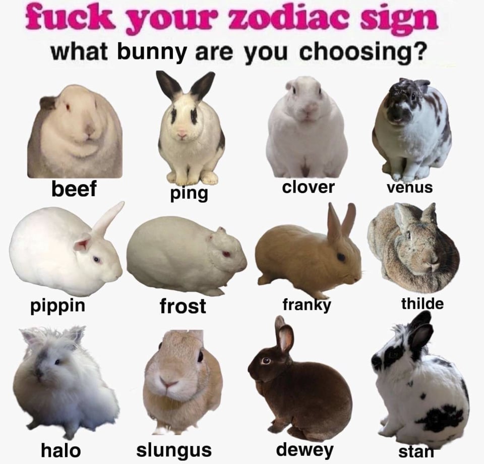 Meme image showing a collection of 12 rabbits of different colourings, patterns, breeds, etc. Each is named. Text above the images reads: "fuck your zodiac sign, what bunny are you choosing?"