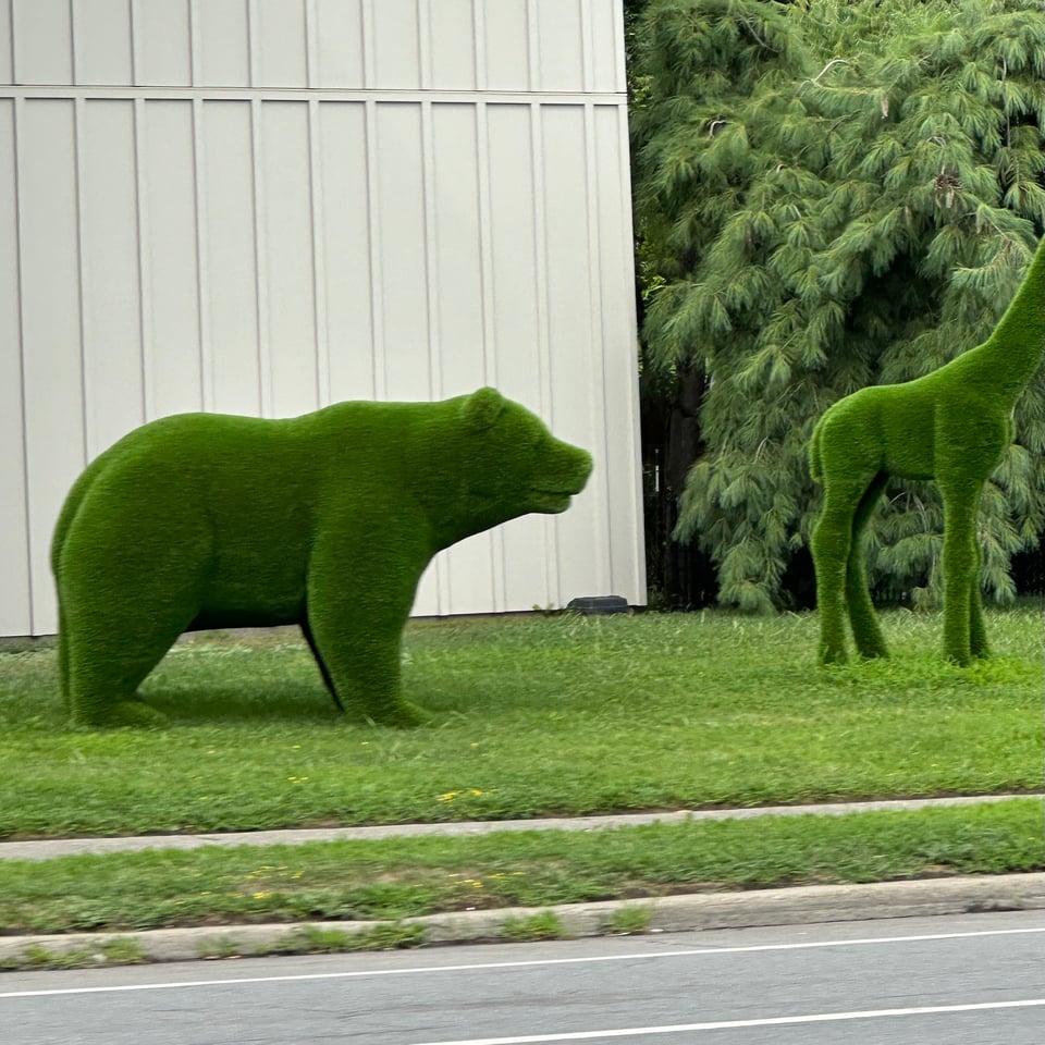 Photo of a topiary bear on all fours, and a topiary giraffe to the right side of the frame