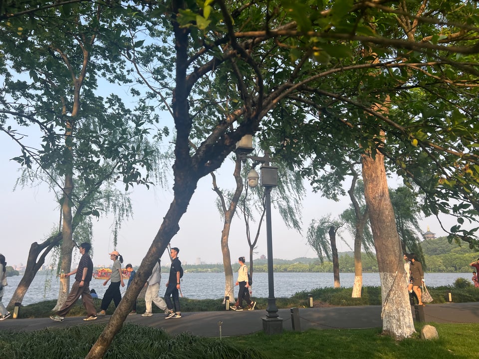 willow trees and people walking in west lake, hangzhou china