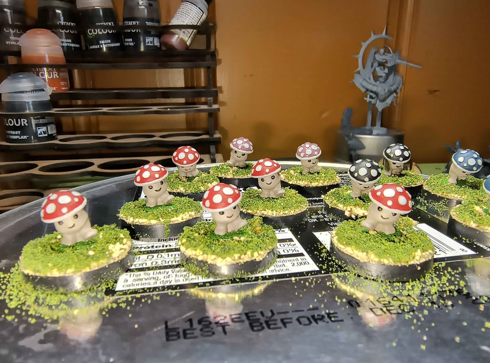 Picture of a selection of adorable mushroom minis