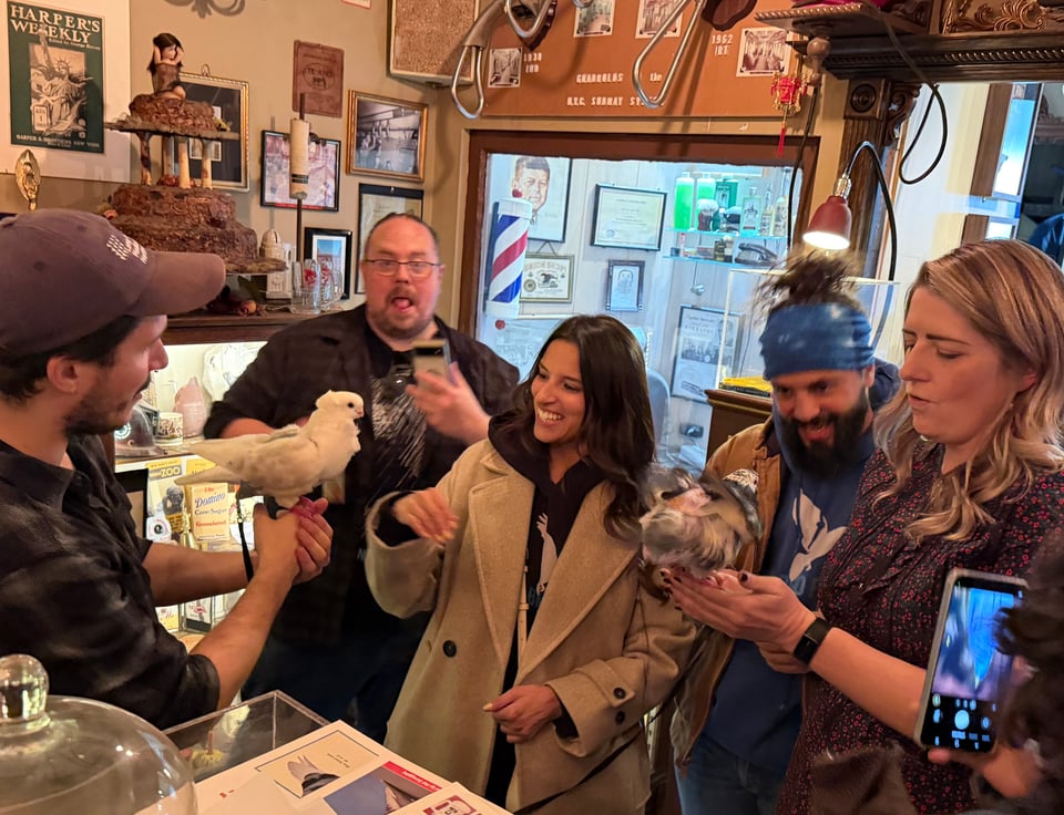 People pass around two pet pigeons in a museum