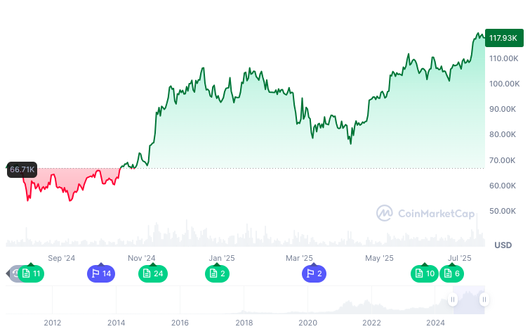 A chart showing the Bitcoin price over the last year