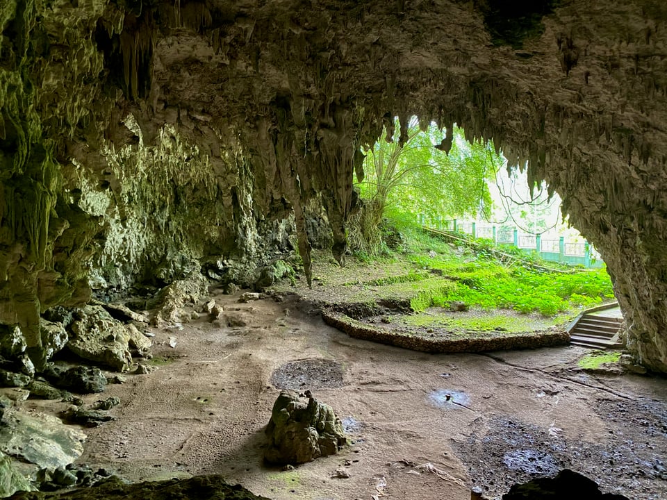 The wide mouth of a limestone cave, seen from inside. Stalactites hang from the ceiling over a dusty floor. Beyond the opening are green plants, trees, a low stone wall, steps, and a fence.