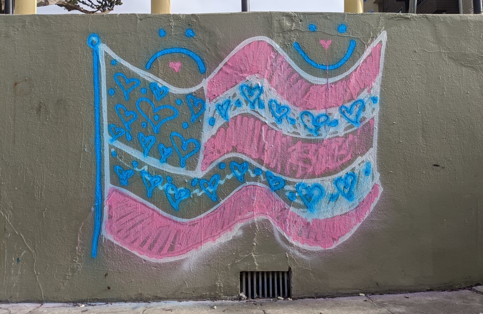Some street art I saw somewhere, featuring a stylized version of an American flag in trans flag colors, with hearts instead of stars and hearts on the white stripes. There is a frowny face and smiley face over the top.