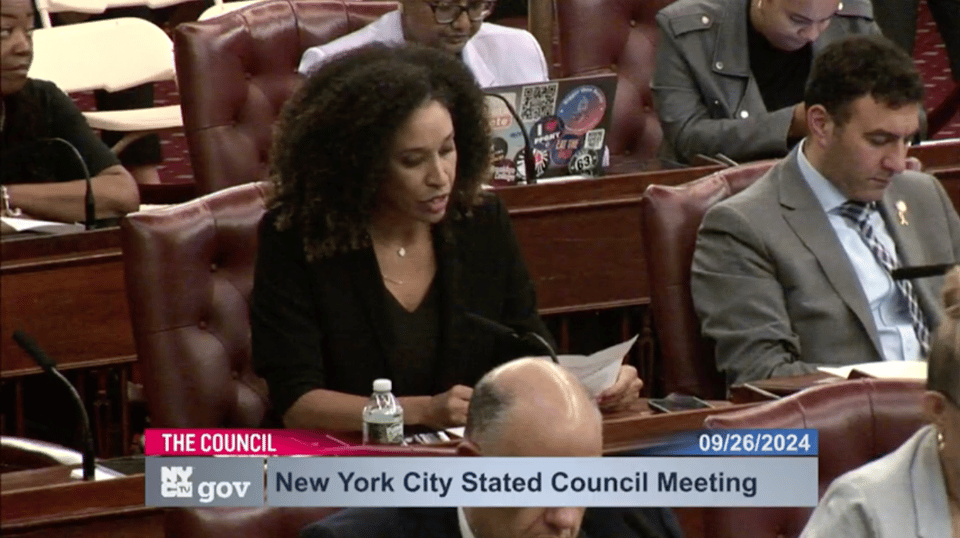 Sandy Nurse at an NYC City Council Stated Meeting