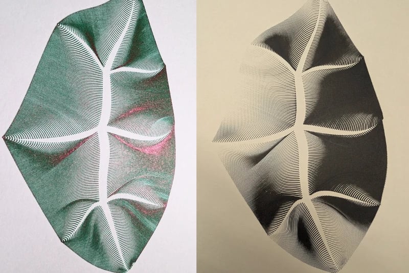 Two images of the same design. One plotted with a green-red pen on white, one plotted with black ink and a brush on sepia paper. The design is the leaf of a plant.