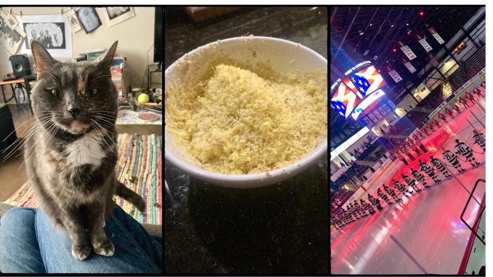 grid with three photos. L-R: a gray dilute tortie cat perched on D's knee, looking confrontational; a bowl of grated ginger and garlic; two hockey teams on the rink during the National Anthem (alas).