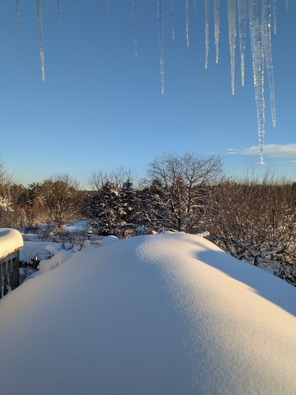 View out toward our meadow. Icicles hanging over the top of the shed, which is covered with a few feet of wind-blown snow.