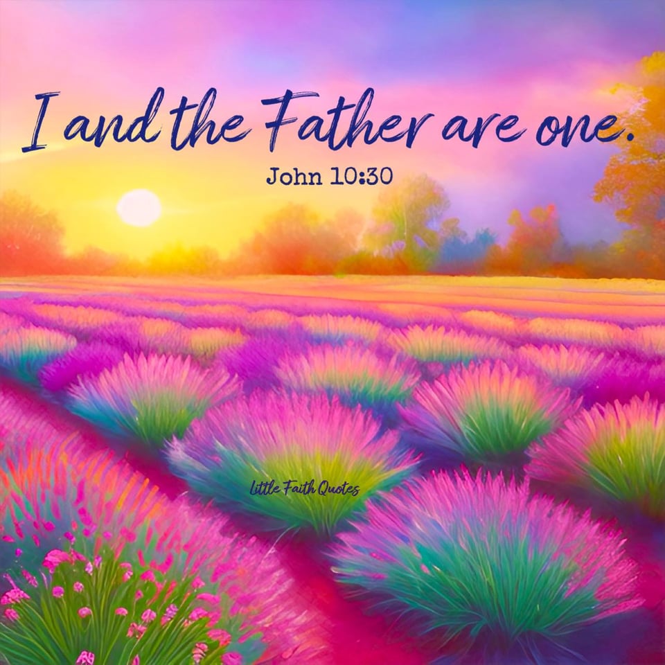 "I and the Father are one.” ~John 10:30. Image by: @Little Faith Quotes.