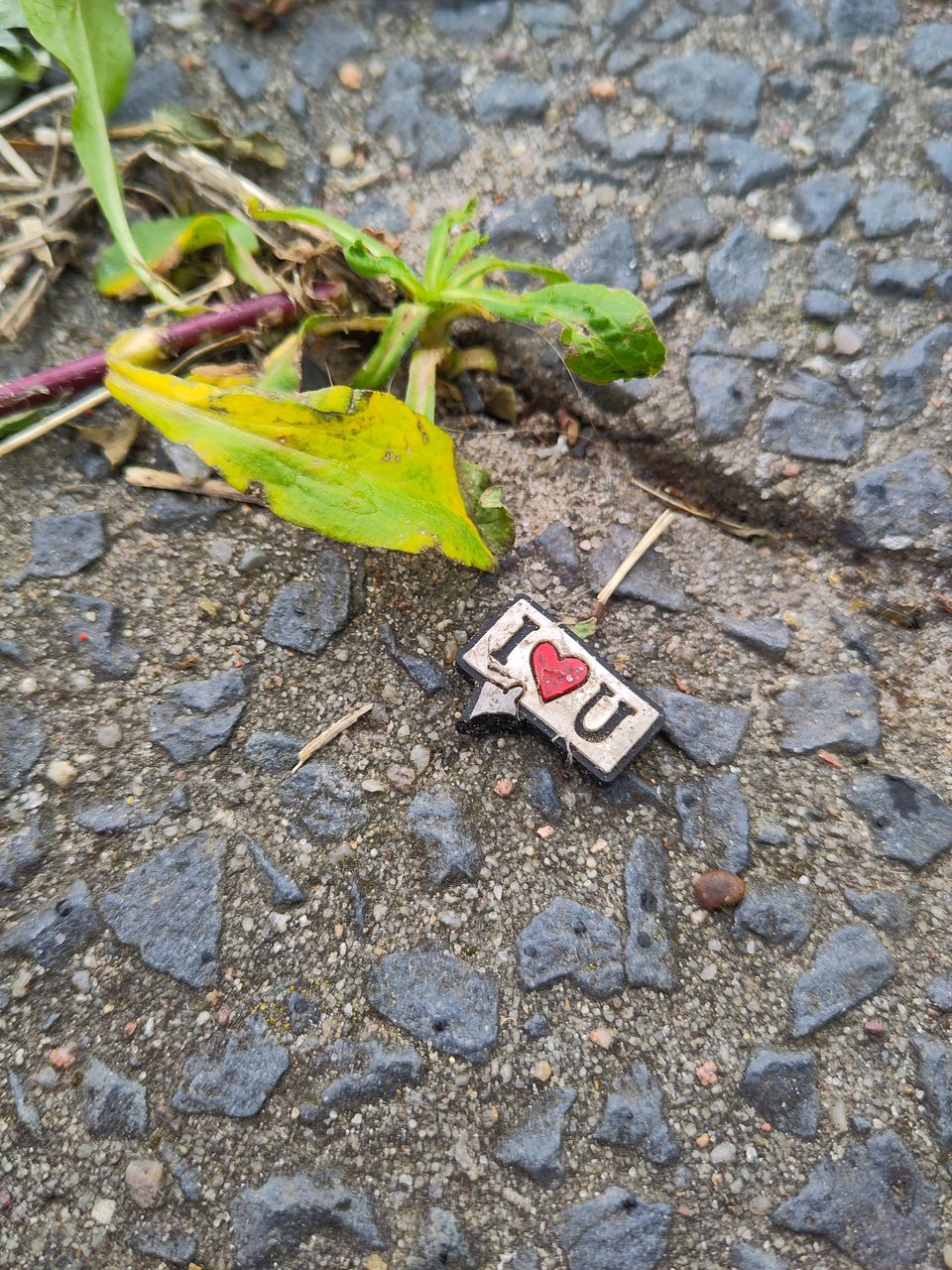 Ein kleiner Anstecker mit der Beschriftung "I love you" liegt auf der Erde.