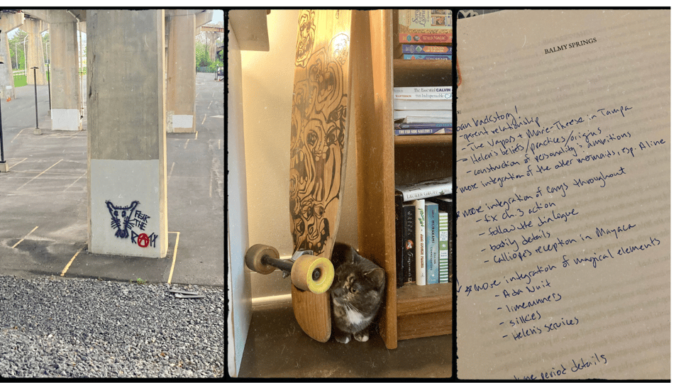 three photos. L-R: a concrete pillar with a piece of rat graffiti on it; a longboard between two bookshelves, plus a gray cat; a print manuscript entitled "Balmy Springs," with a list of handwritten notes. 