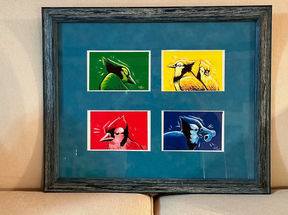 Four different paintings of blue jay busts, each in a different colour (green, yellow, red, and blue). They are framed in a single mat with four windows.