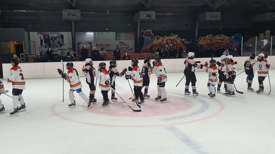 Skaters shaking hands on the ice