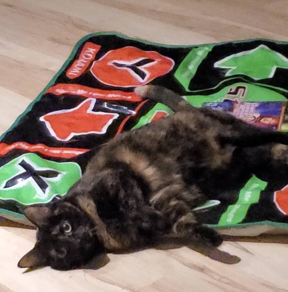 A tortoiseshell cat lounges playfully on a 2004 Konami dance mat for Dance Dance Revolution Ultramix 2, which can also be seen behind the cat.