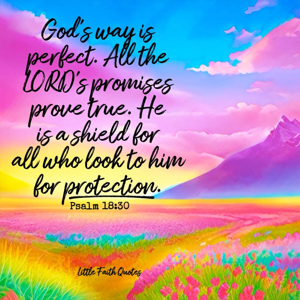 "God’s way is perfect. All the LORD’s promises prove true. He is a shield for all who look to him for protection." ~Psalm 18:30. The sun sets in a violet and blue sky. Purple mountains rise over a rainbow wildflower meadow. Image by: @Little Faith Quotes............................