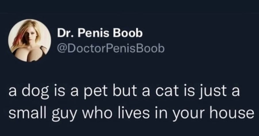 Twitter screenshot from @DoctorPenisBoob:

a dog is a pet but a cat is just a small guy who lives in your house