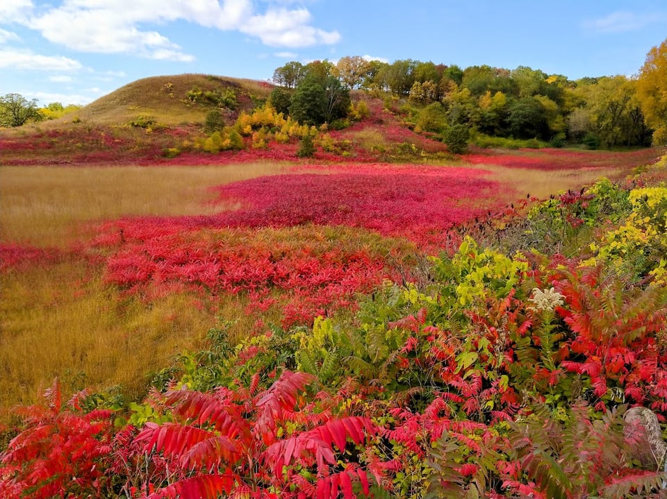 One September moment it’s languid, lingering summer, and the next it’s brisk, no-nonsense fall. Both ways, it’s lovely. The prairie positively glows once the sumac turns scarlet. / Photo by Jake Gaster