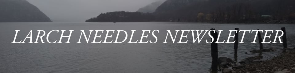 larch needles newsletter is back!