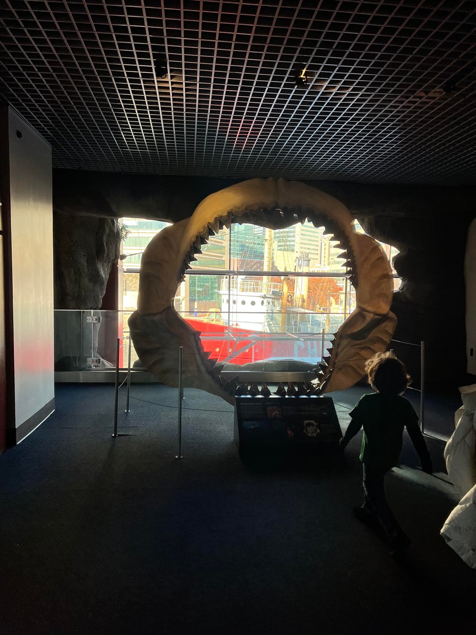 The jaws of a megalodon, a prehistoric shark. A little boy is running toward it, very brave.