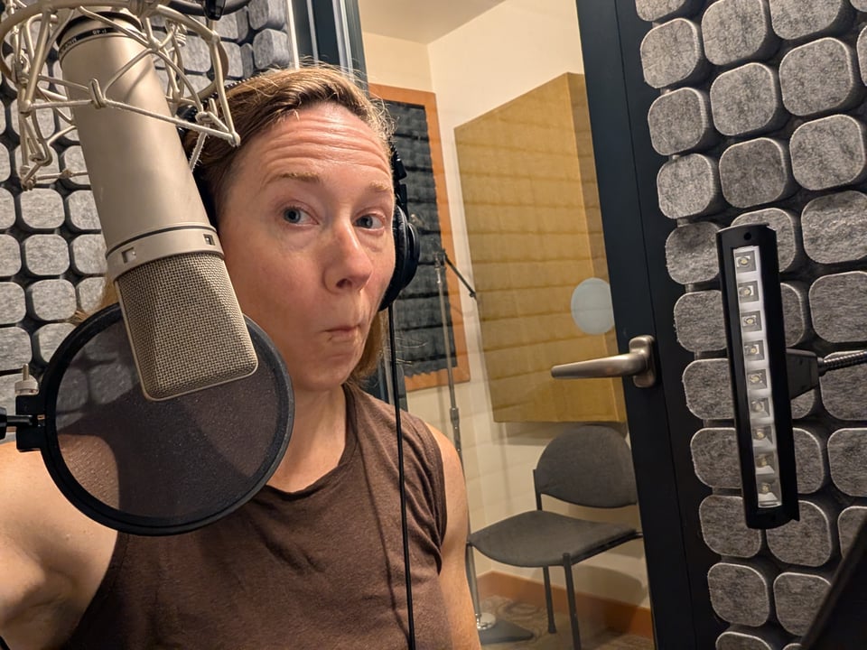 A photograph of me making a funny face inside a recording studio, with the microphone in the foreground