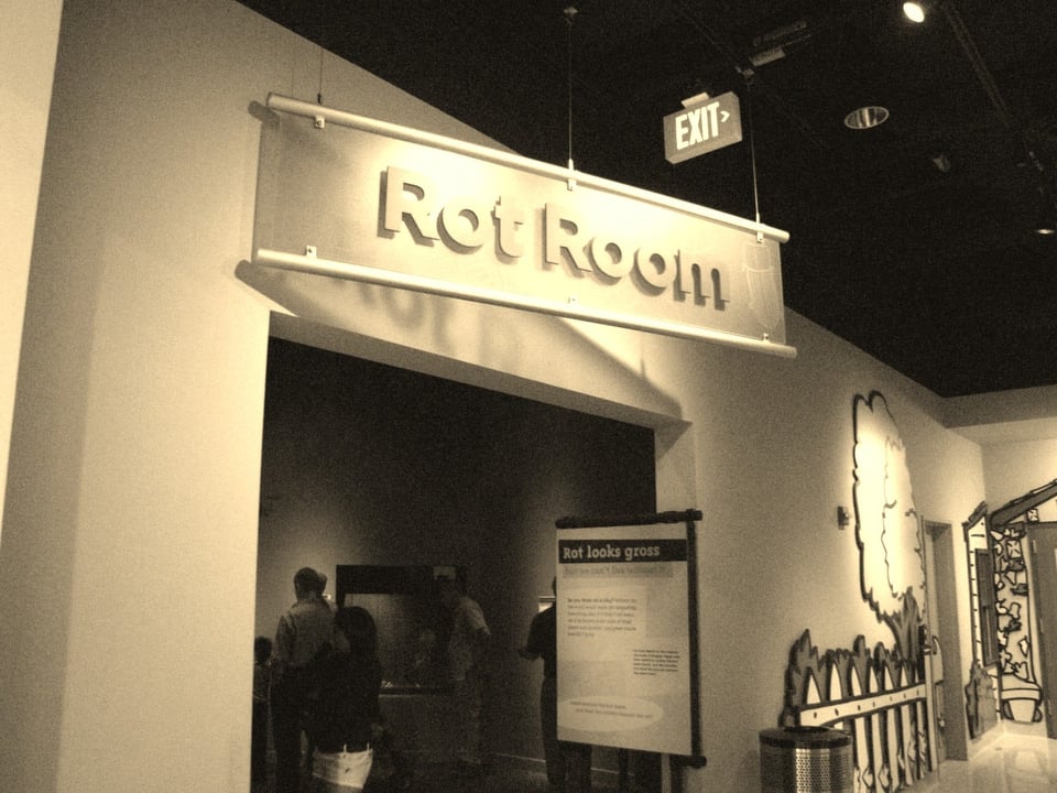 a room in a museum
