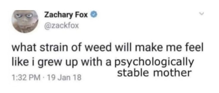 Twitter screenshot (that's been edited).
@zackfox:
what strain of weed will make me feel like i grew up with a psychologically stable mother