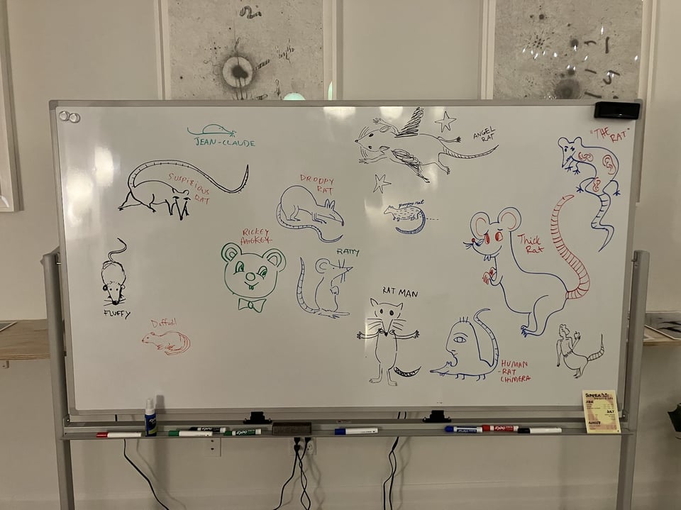 whiteboard full of drawings of rats