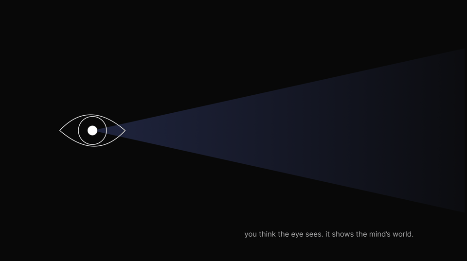 We think we're seeing reality...