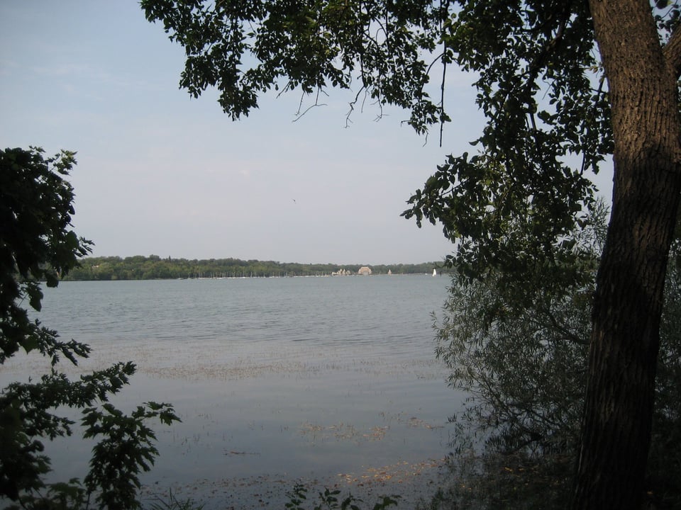 A decently sized tree-lined lake