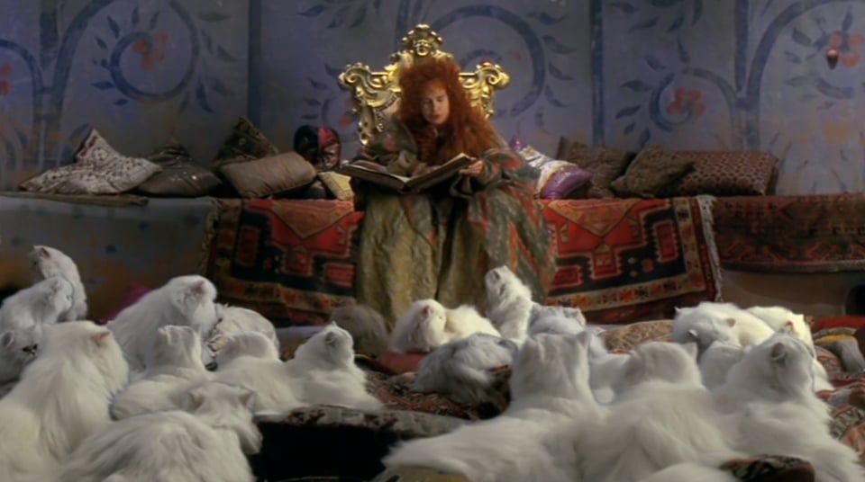 A red haired woman reading a large, open book on her lap. She sits on a bench built into the blue-painted wall, with various rugs strewn across it. A ton of long haired white cats sit at her feet