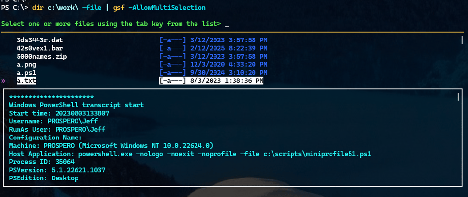 Get-SelectedFile
