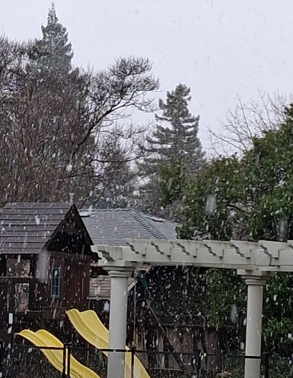 Photo of thick, fat snowflakes falling on an overcast day. The background is made up of both leaved and unleaved trees. In the foreground are a white pergula and a children's playstructure.