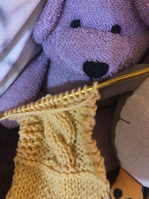 A purple terry-cloth bear holds a bit of light yellow cabled knitting, still on the needles