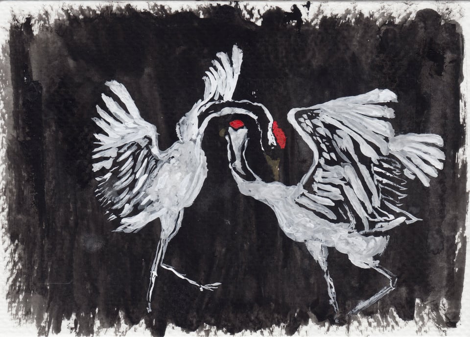Postcard of two red-topped cranes in a mating dance. It's in gouache, and the birds are white, with red tops and dark bills, against a black background.