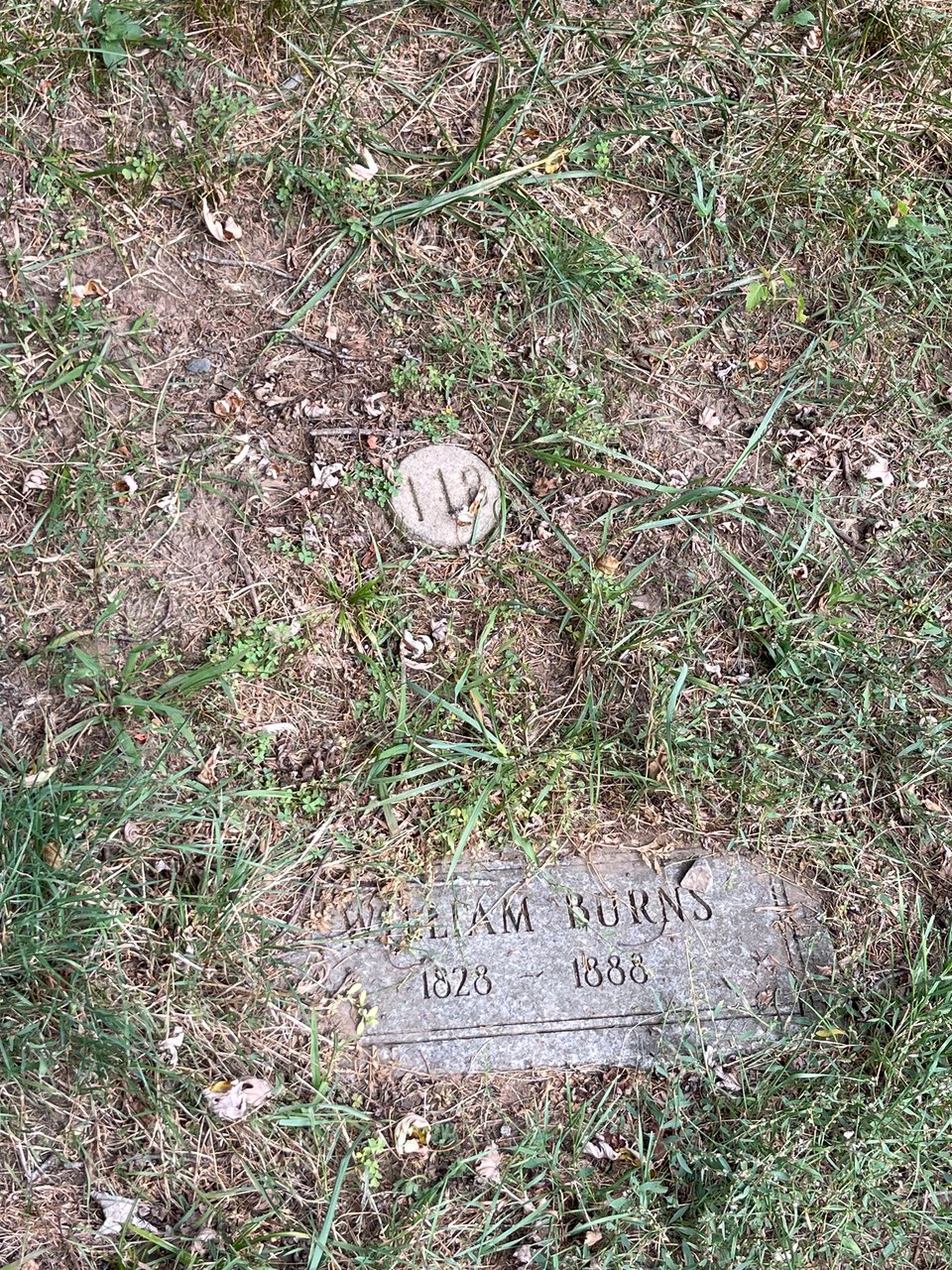 Numbered concrete circles indicating the numbered remains of a patient of Danvers Asylum