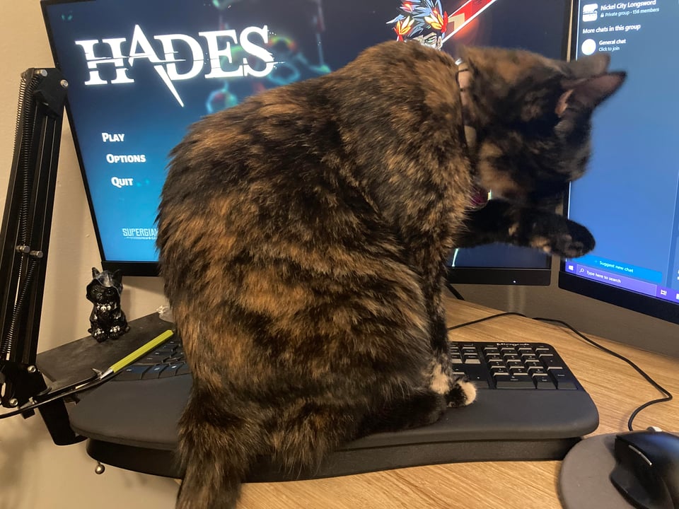 A tortoiseshell cat sitting on the wrist-rest of an ergonomic keyboard. The cat is licking one of her front paws. The double monitor setup behind her shows one screen on the menu for Hades.