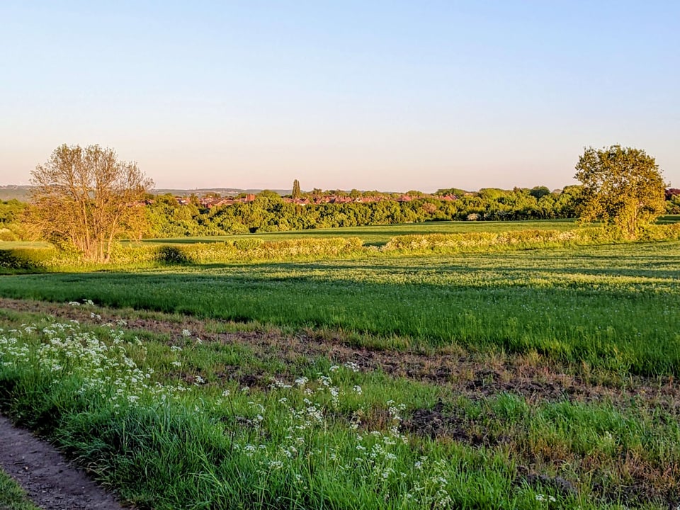View looking towards Woodhouse