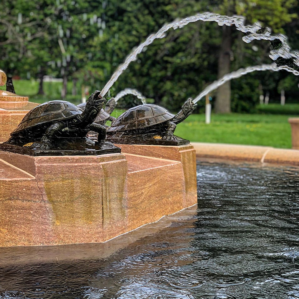 fountain turtles expelling water from their mouths