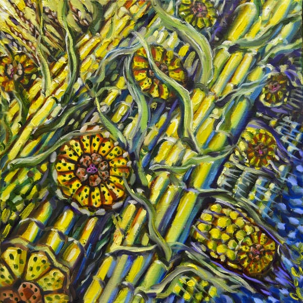 Psychedelic painting primarily in yellow with green, brown and purple elements, of bound segmented stalks with grass leaves sprouting from them, cut away in parts to a concentric diagram of cells around cells around tubes. Clusters of kernels extend out diagonally behind them.